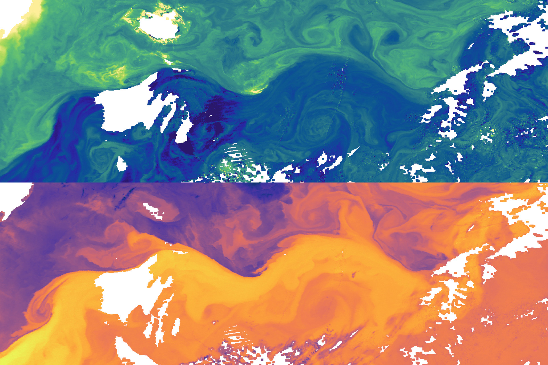 Satellites images of temperature and chorophyll of the Gulf-Stream meanders